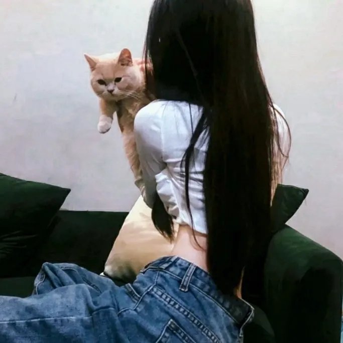 琴台春满